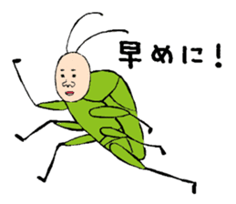 Mr.stink bug sticker #2106847