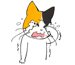 Madam Samsi sticker #2107215