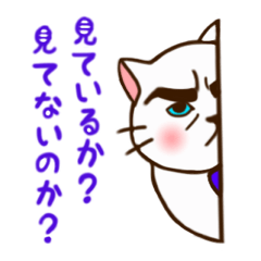 Nyan You? What?