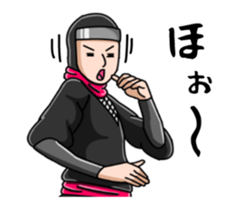 professional spy sticker #2108478