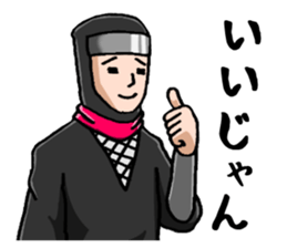 professional spy sticker #2108483