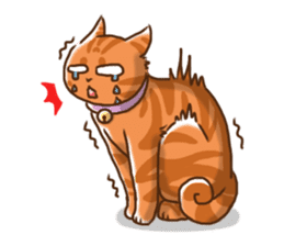 wonder family sticker #2108906