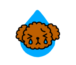 Everyday Toy Poodle sticker #2109542