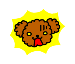 Everyday Toy Poodle sticker #2109543