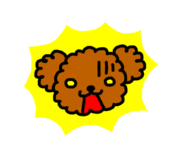 Everyday Toy Poodle sticker #2109543