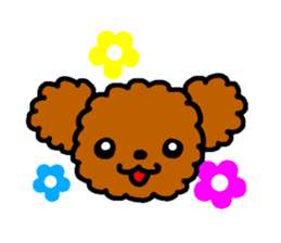 Everyday Toy Poodle sticker #2109544