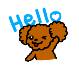 Everyday Toy Poodle sticker #2109545