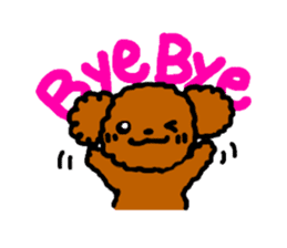 Everyday Toy Poodle sticker #2109546