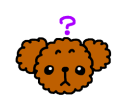 Everyday Toy Poodle sticker #2109547