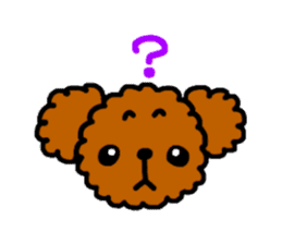 Everyday Toy Poodle sticker #2109547