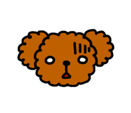 Everyday Toy Poodle sticker #2109548