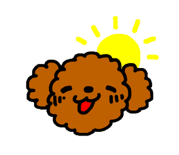 Everyday Toy Poodle sticker #2109553