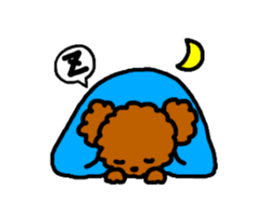 Everyday Toy Poodle sticker #2109554