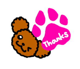 Everyday Toy Poodle sticker #2109555