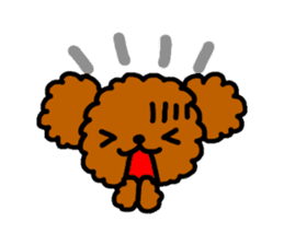 Everyday Toy Poodle sticker #2109557
