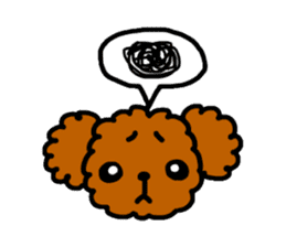 Everyday Toy Poodle sticker #2109558
