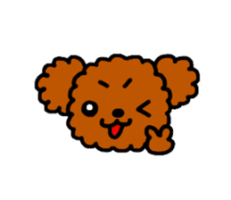 Everyday Toy Poodle sticker #2109559