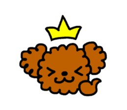 Everyday Toy Poodle sticker #2109560