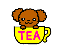Everyday Toy Poodle sticker #2109562