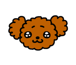 Everyday Toy Poodle sticker #2109563