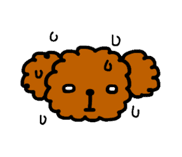 Everyday Toy Poodle sticker #2109565