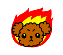 Everyday Toy Poodle sticker #2109566