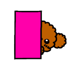 Everyday Toy Poodle sticker #2109567