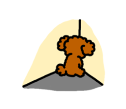 Everyday Toy Poodle sticker #2109569