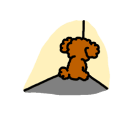 Everyday Toy Poodle sticker #2109569