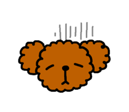 Everyday Toy Poodle sticker #2109573
