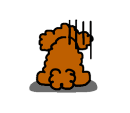 Everyday Toy Poodle sticker #2109574