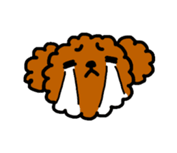 Everyday Toy Poodle sticker #2109575