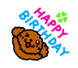 Everyday Toy Poodle sticker #2109577