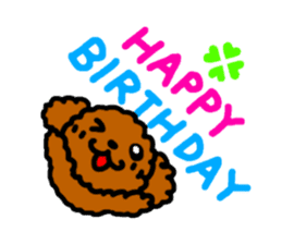 Everyday Toy Poodle sticker #2109577