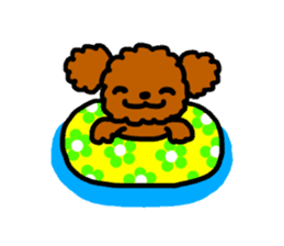 Everyday Toy Poodle sticker #2109580