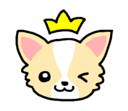 Everyday Chihuahua sticker #2110661