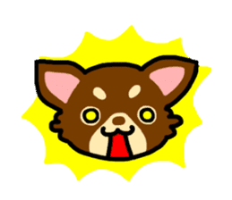 Everyday Chihuahua sticker #2110662
