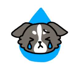 Everyday Chihuahua sticker #2110663