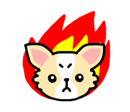 Everyday Chihuahua sticker #2110669