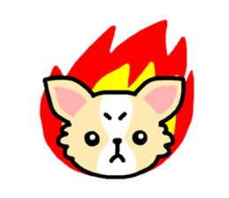 Everyday Chihuahua sticker #2110669