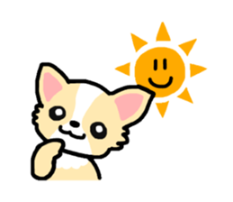 Everyday Chihuahua sticker #2110683