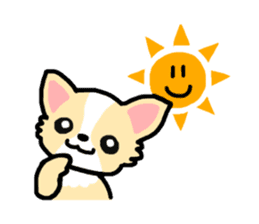 Everyday Chihuahua sticker #2110683
