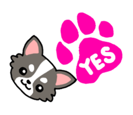 Everyday Chihuahua sticker #2110685