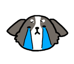 Everyday Chihuahua sticker #2110688