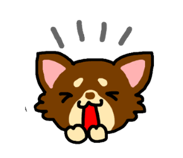 Everyday Chihuahua sticker #2110696