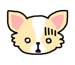 Everyday Chihuahua sticker #2110697