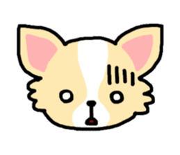 Everyday Chihuahua sticker #2110697