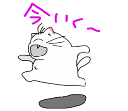 Playful cat ,(KoiTaro) sticker #2113287