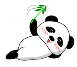 Bashful Panda sticker #2114408
