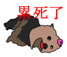 Chinese of a cheerful Yorkshire terrier sticker #2114581